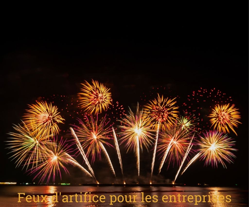 feux artifice pour les entreprises - 1001 artifices